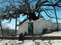 Tariqa Burhaniya